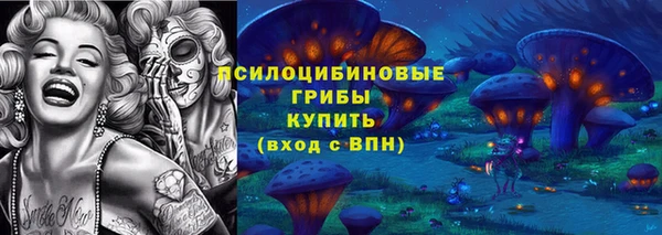 МДПВ Арсеньев
