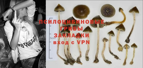 марки nbome Аркадак
