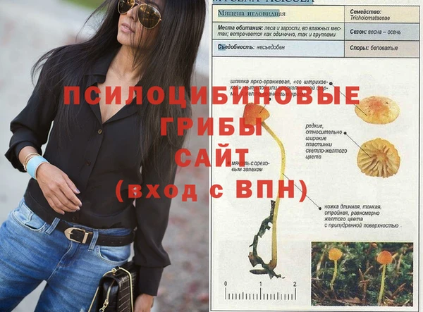 МДПВ Арсеньев